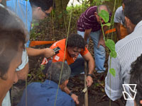curso119