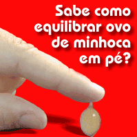 Casulo