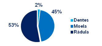 gráfico Com que a minhoca tritura seus alimentos? -- Dentes, moela ou rádula?