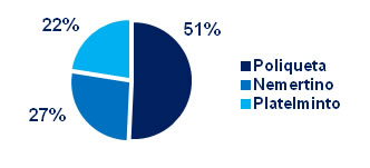 gráfico Como se chama o primo marinho da minhoca? -- Poliqueta, Nemertino ou Platelminto?