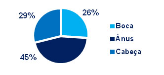 gráfico Por onde a minhoca solta seus casulos? -- Pela boca, pelo ânus ou pela cabeça?