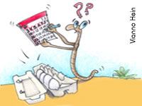 Quantos casulos a minhoca vermelha-da-califórnia produz por mês? -- 24, 240 ou 2400?